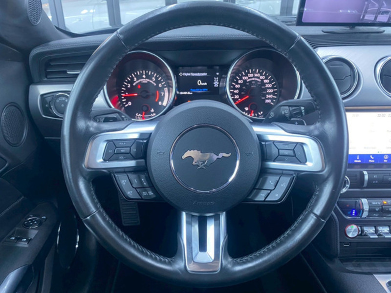 MUSTANG