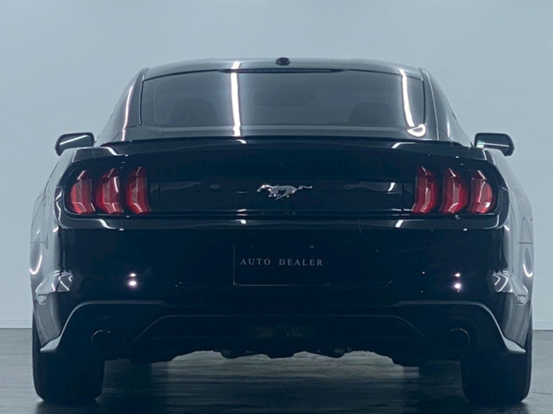 MUSTANG