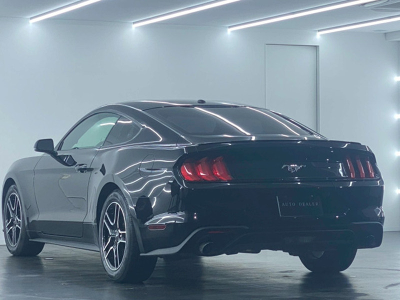 MUSTANG