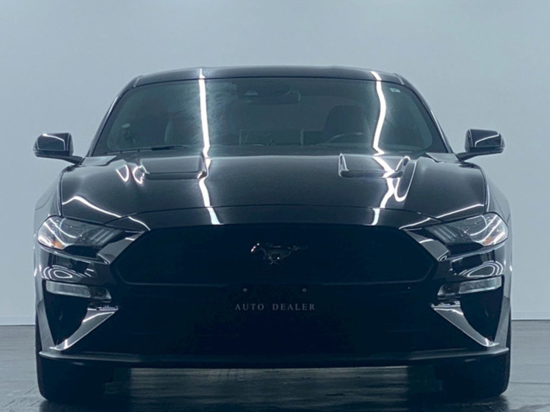 MUSTANG