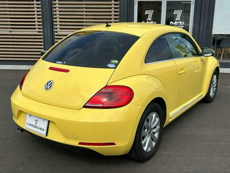 THE BEETLE