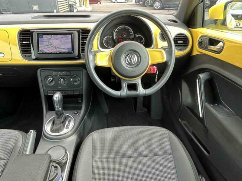 THE BEETLE