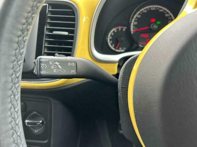 THE BEETLE