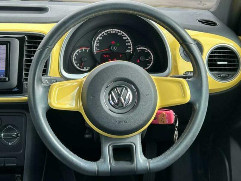 THE BEETLE