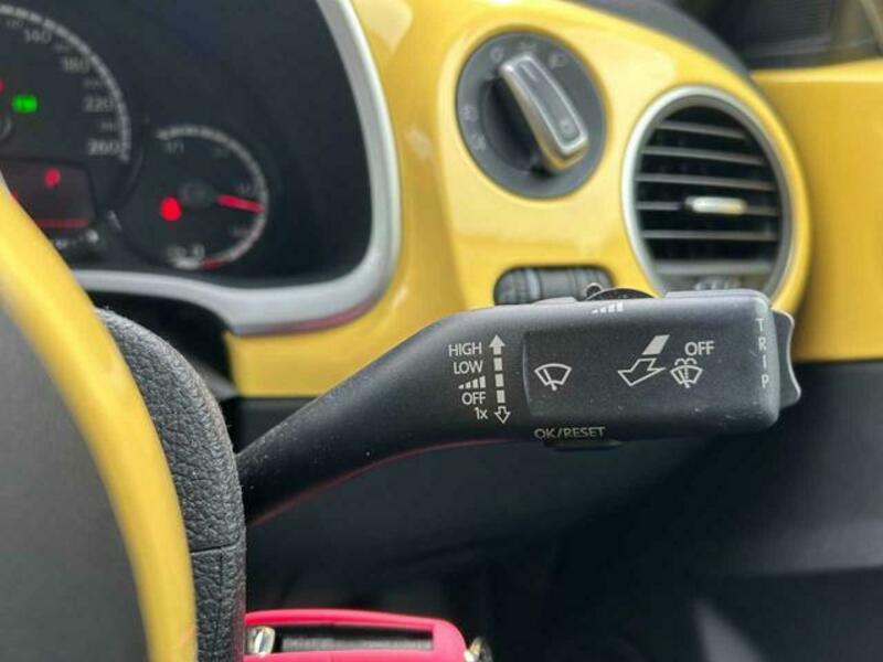 THE BEETLE