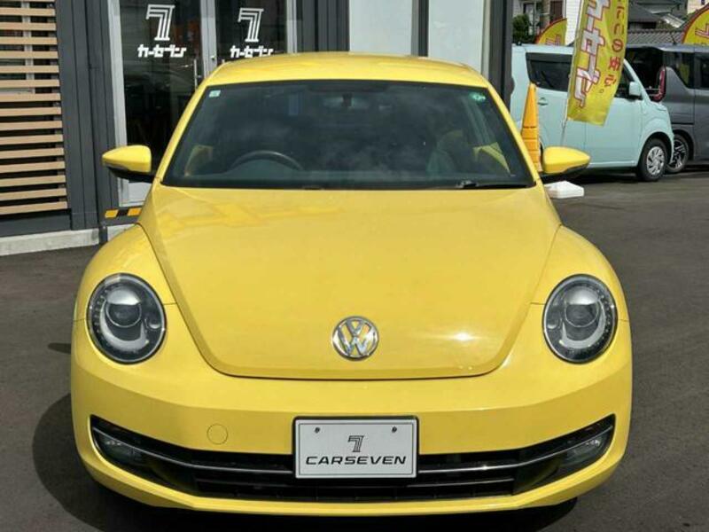 THE BEETLE