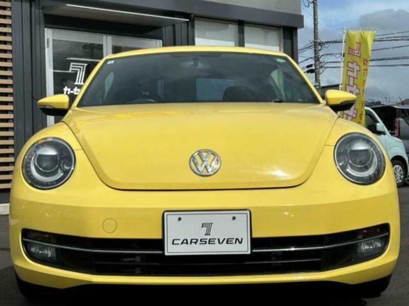 THE BEETLE