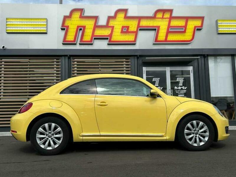 THE BEETLE
