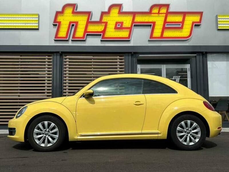 THE BEETLE