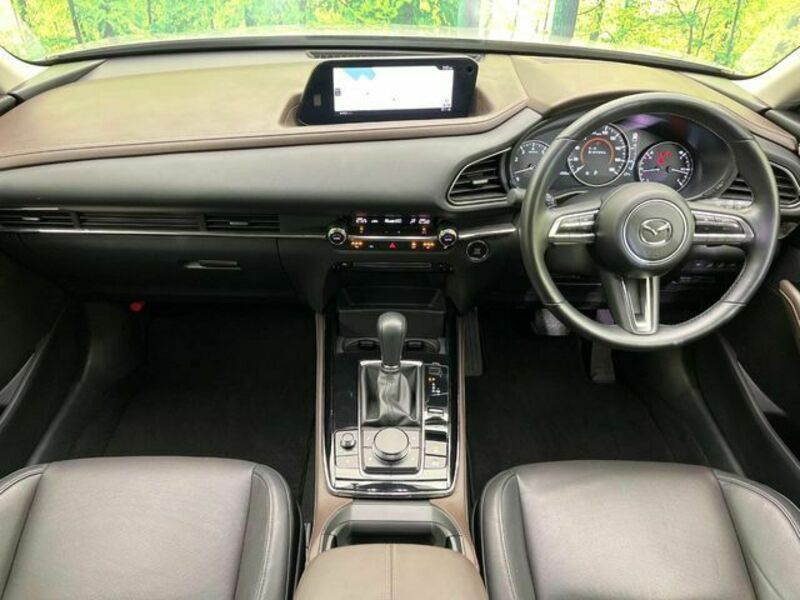 CX-30