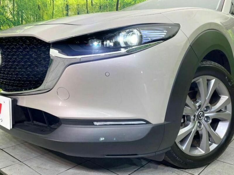 CX-30