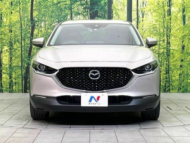 CX-30