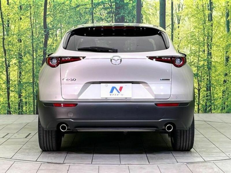 CX-30
