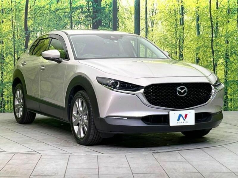 CX-30
