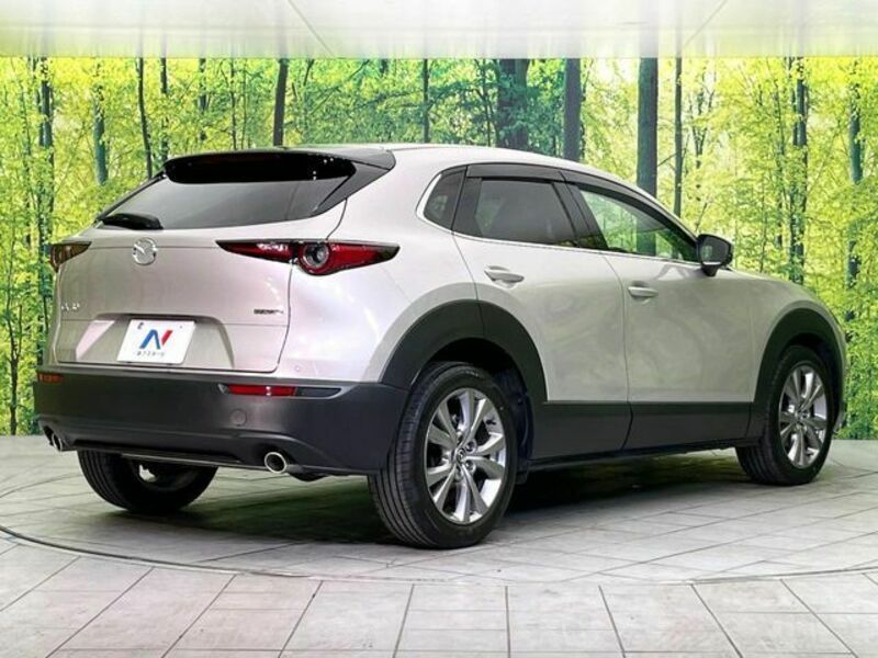 CX-30