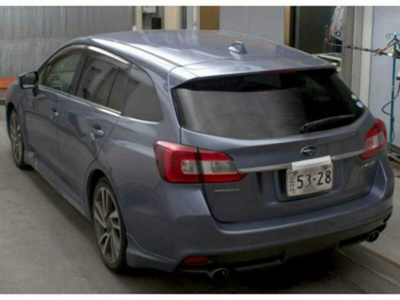 LEVORG