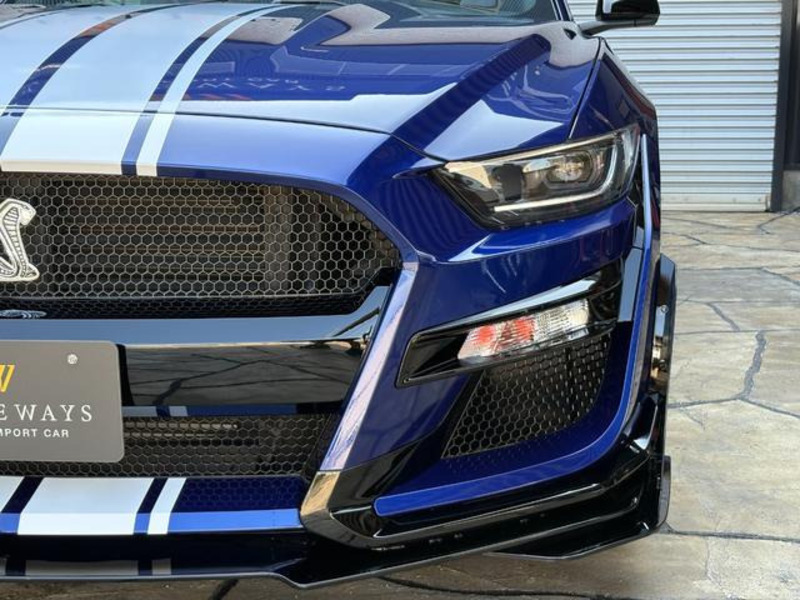 MUSTANG