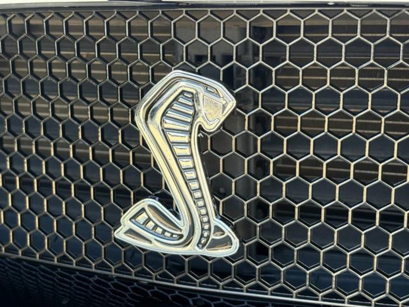 MUSTANG