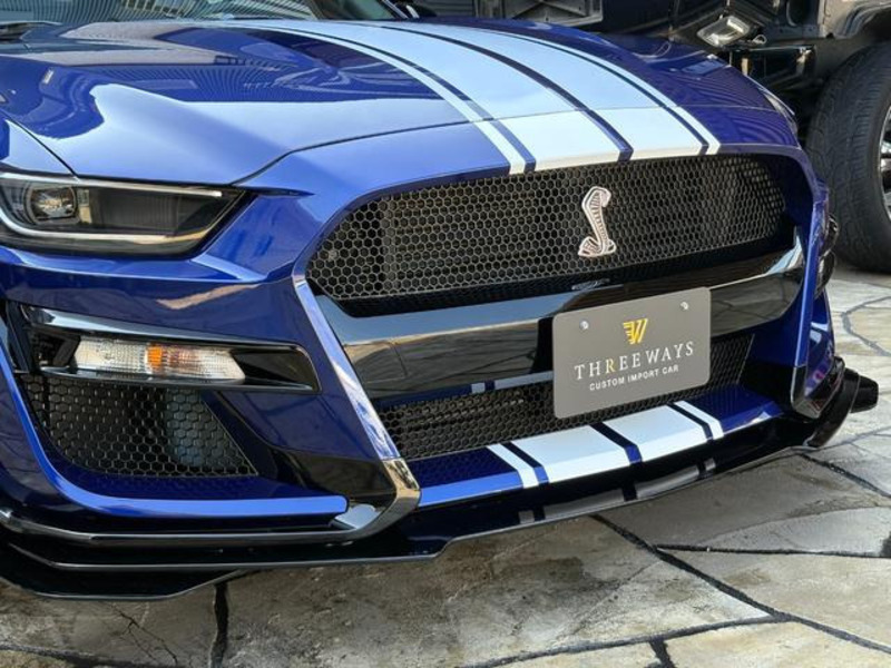MUSTANG