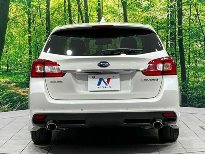 LEVORG