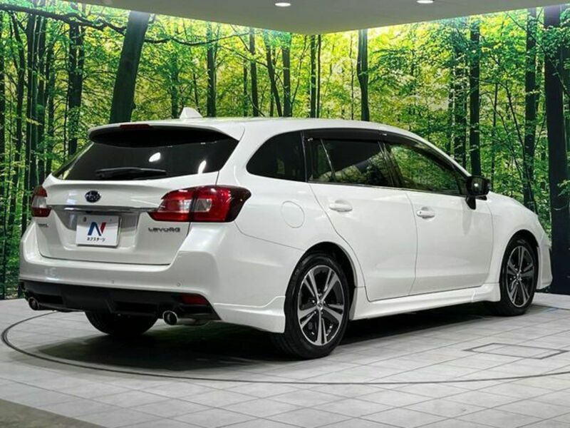 LEVORG