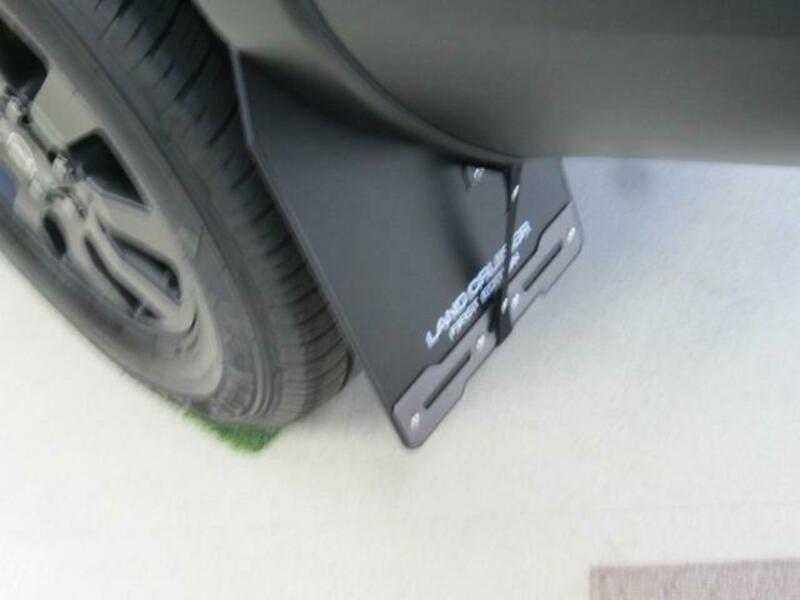 LAND CRUISER 250