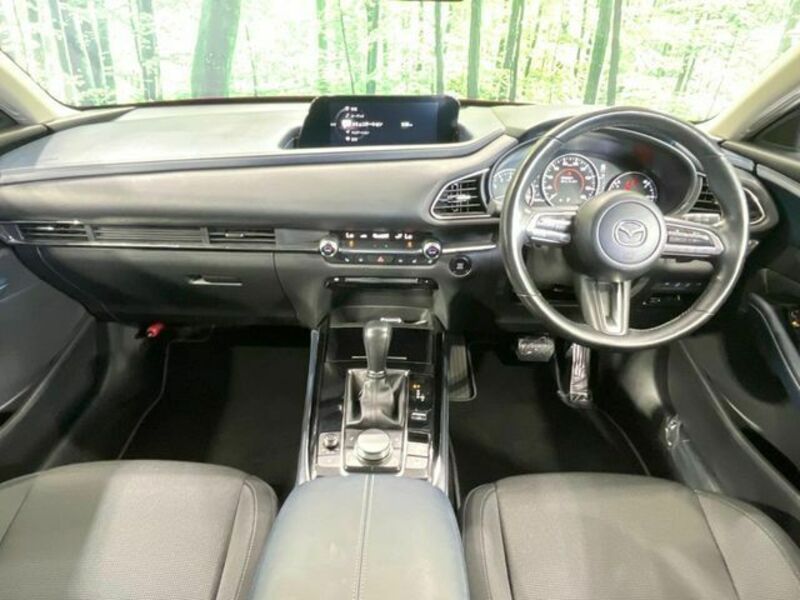 CX-30