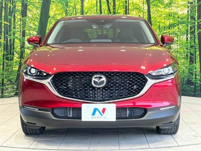 CX-30