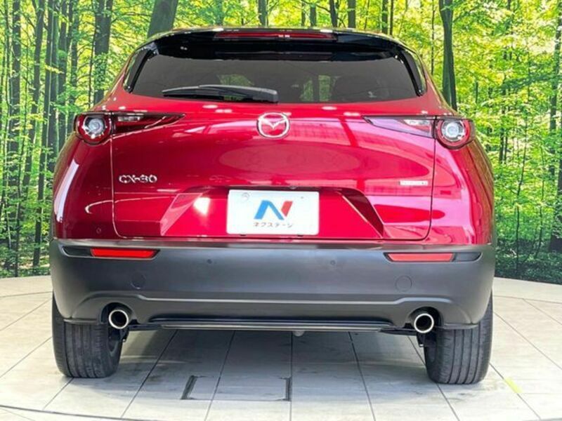 CX-30