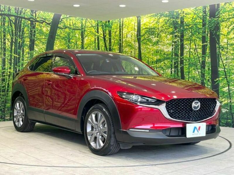CX-30