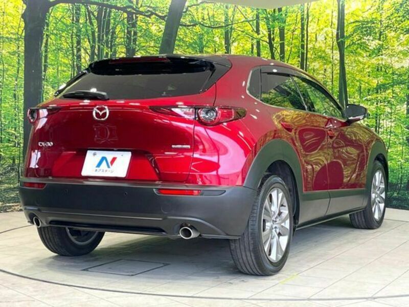 CX-30
