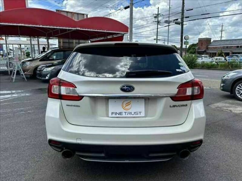 LEVORG