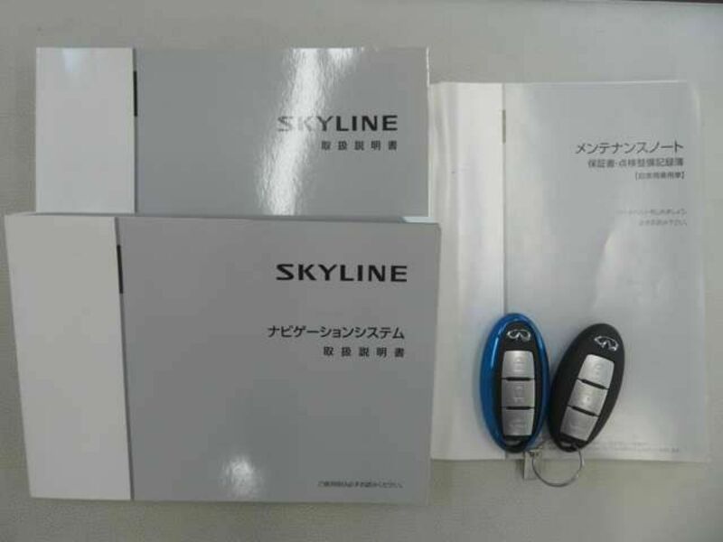 SKYLINE