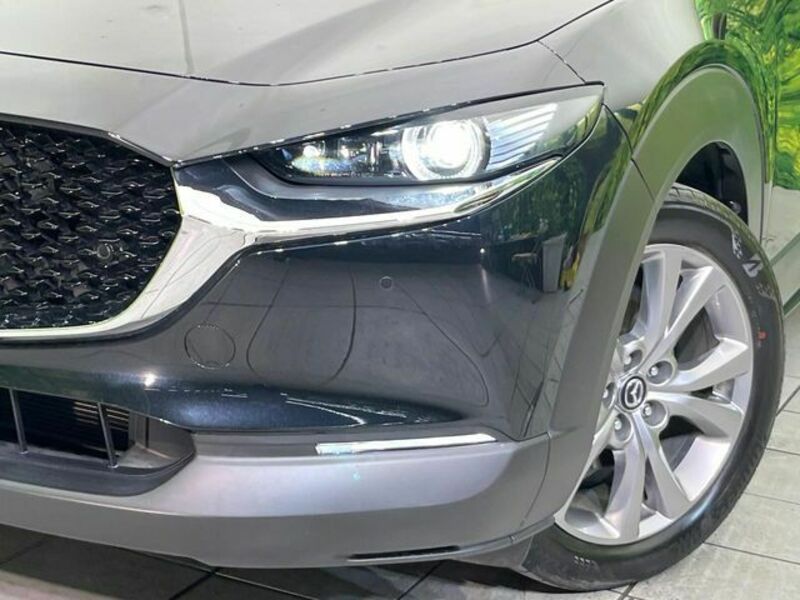 CX-30
