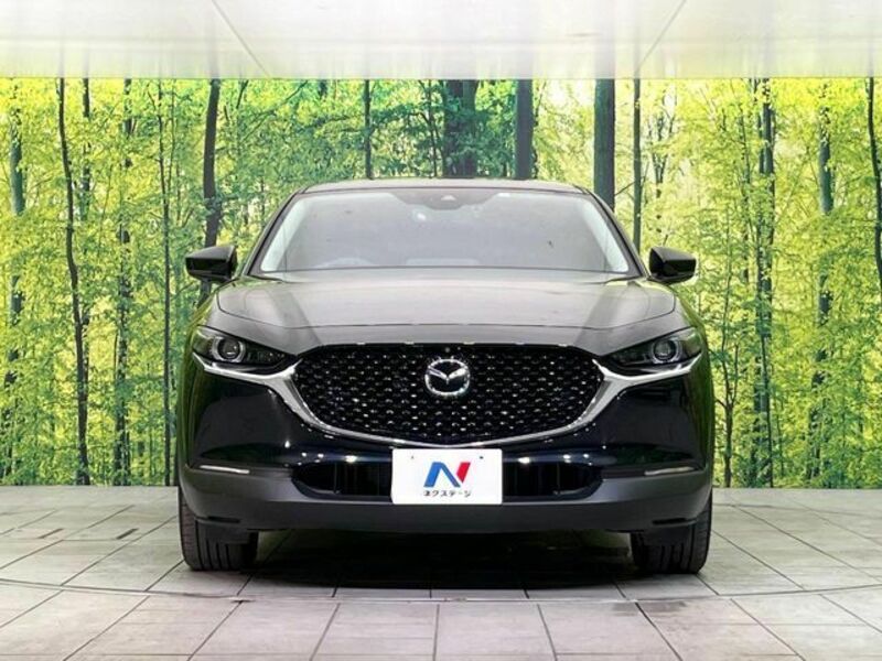 CX-30