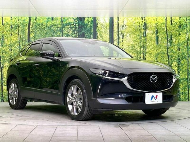 CX-30