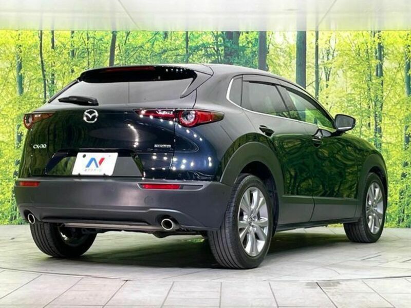 CX-30