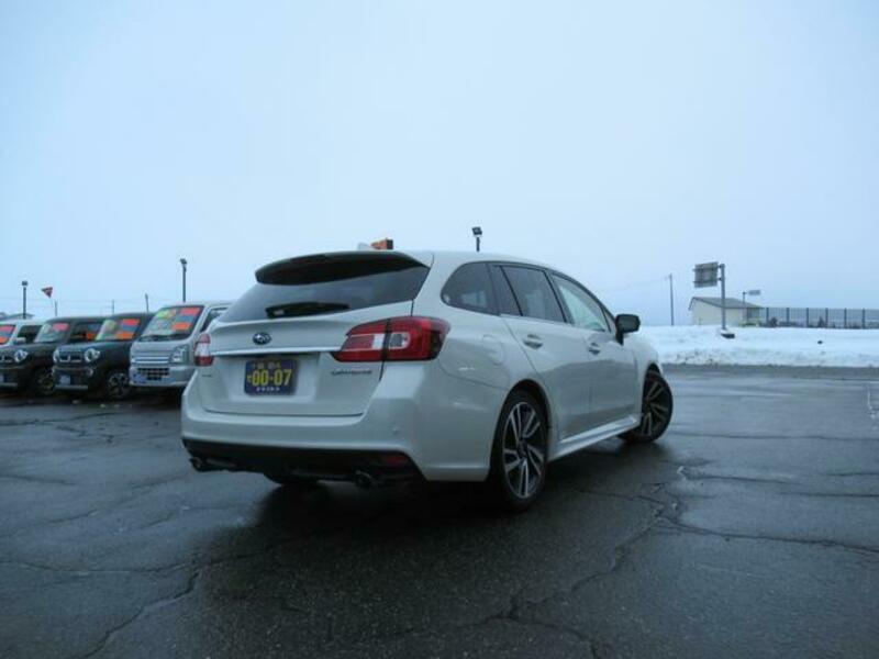 LEVORG