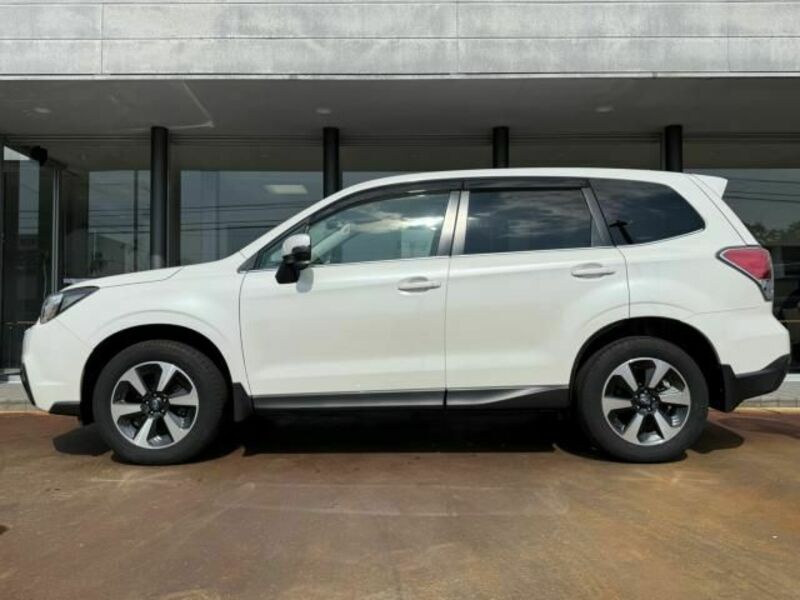 FORESTER