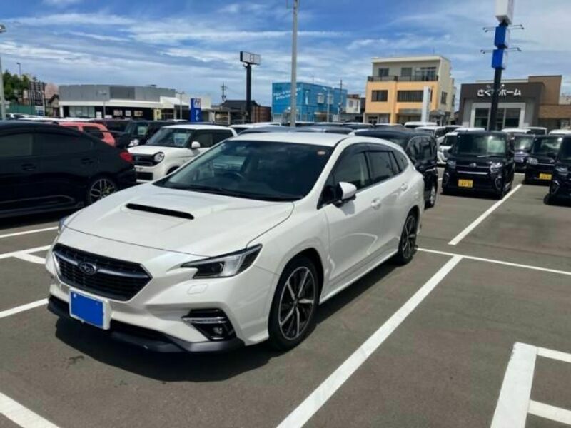 LEVORG