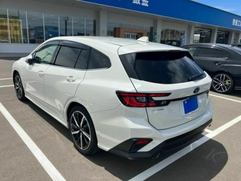 LEVORG