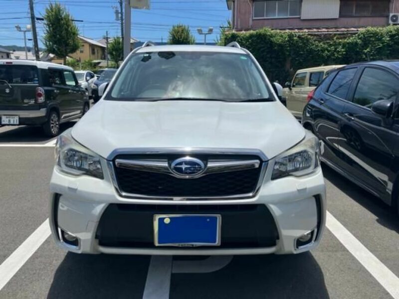 FORESTER-0