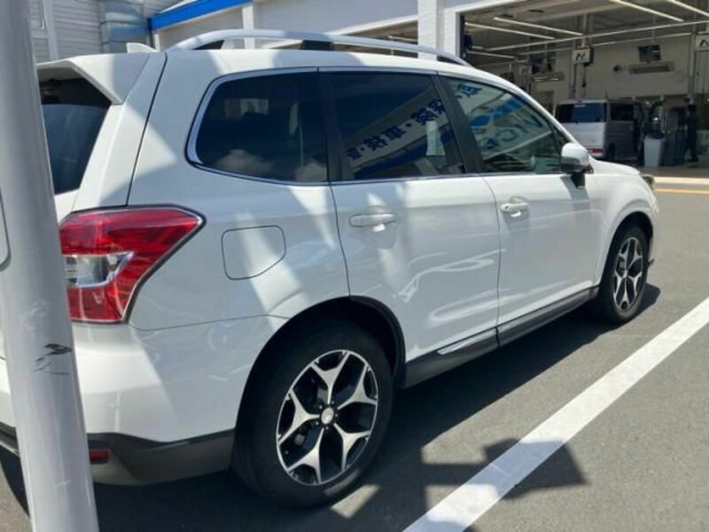 FORESTER