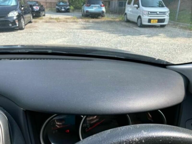 BLUEBIRD SYLPHY