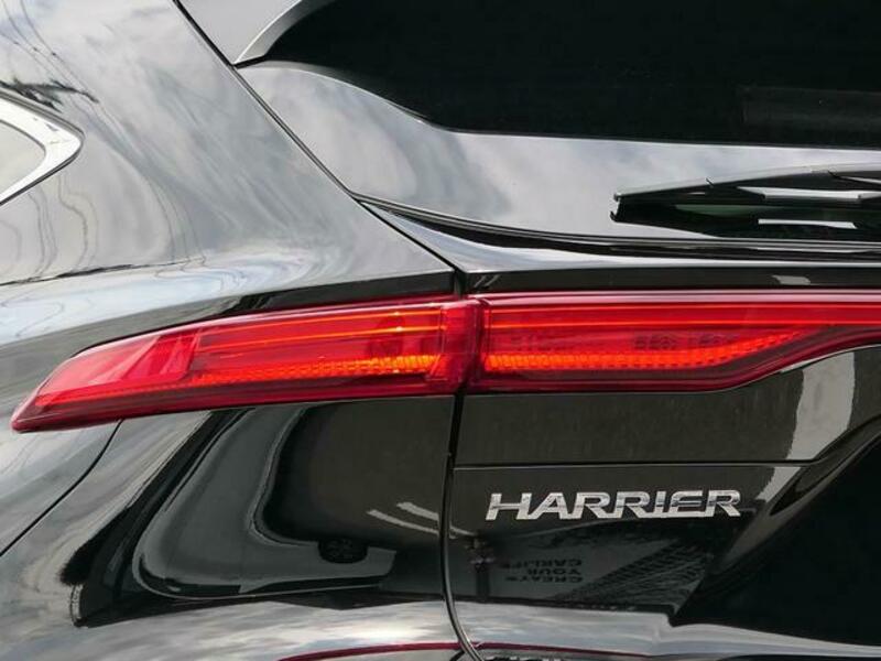 HARRIER