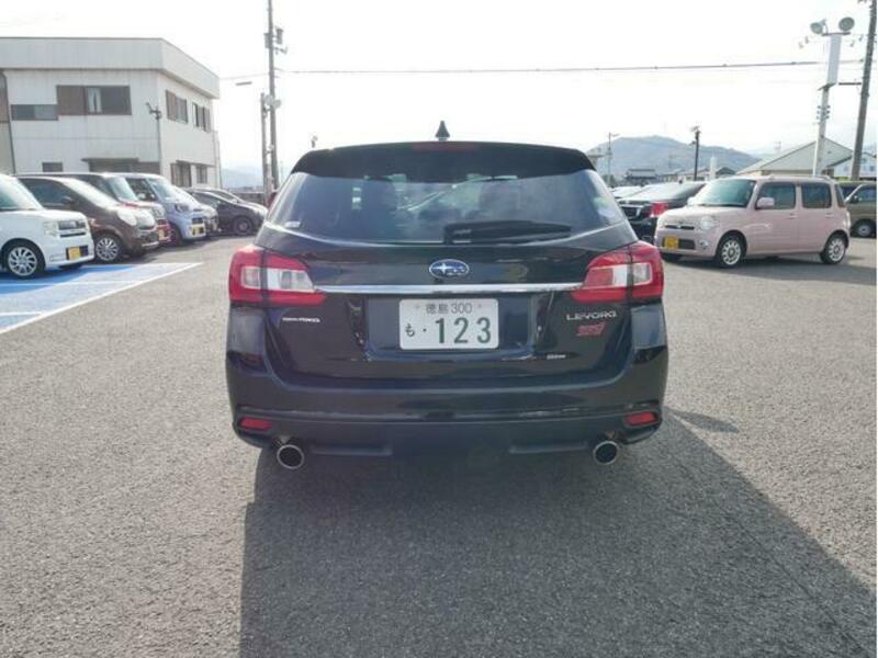 LEVORG