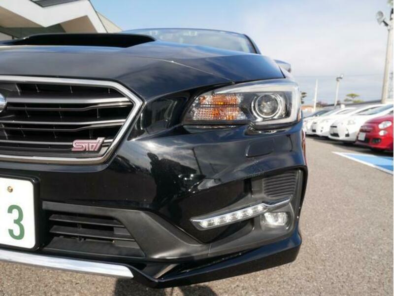 LEVORG