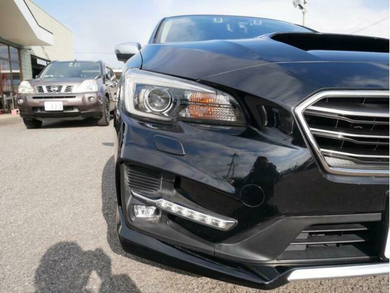 LEVORG