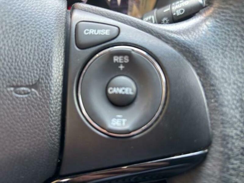 VEZEL