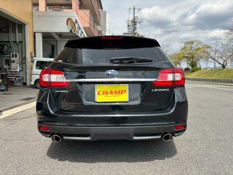 LEVORG